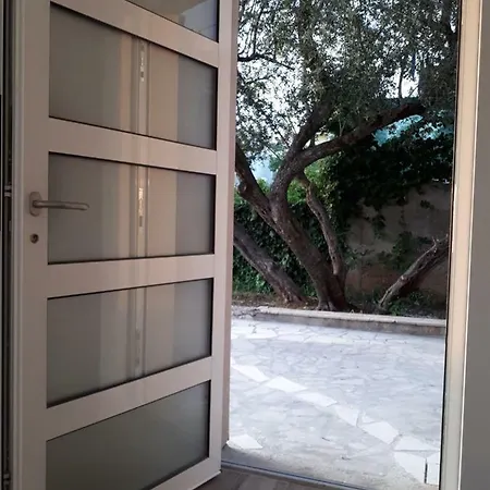 Jardin De Olive *